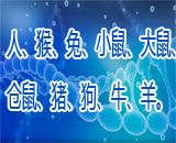 細胞種屬鑒定及交叉污染