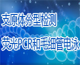 支原體分型檢測