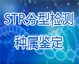 分析方法學驗證