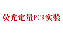 熒光定量PCR實驗