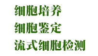細胞培養，細胞鑒定，流式細胞檢測