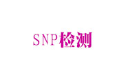 SNP檢測